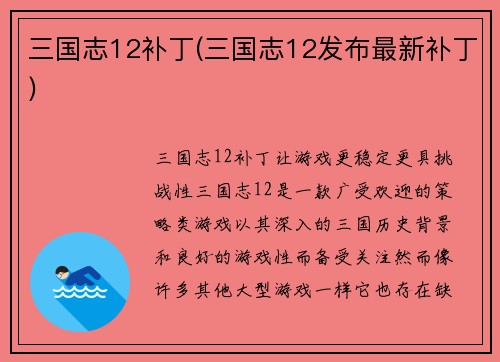三国志12补丁(三国志12发布最新补丁)
