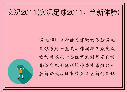 实况2011(实况足球2011：全新体验)